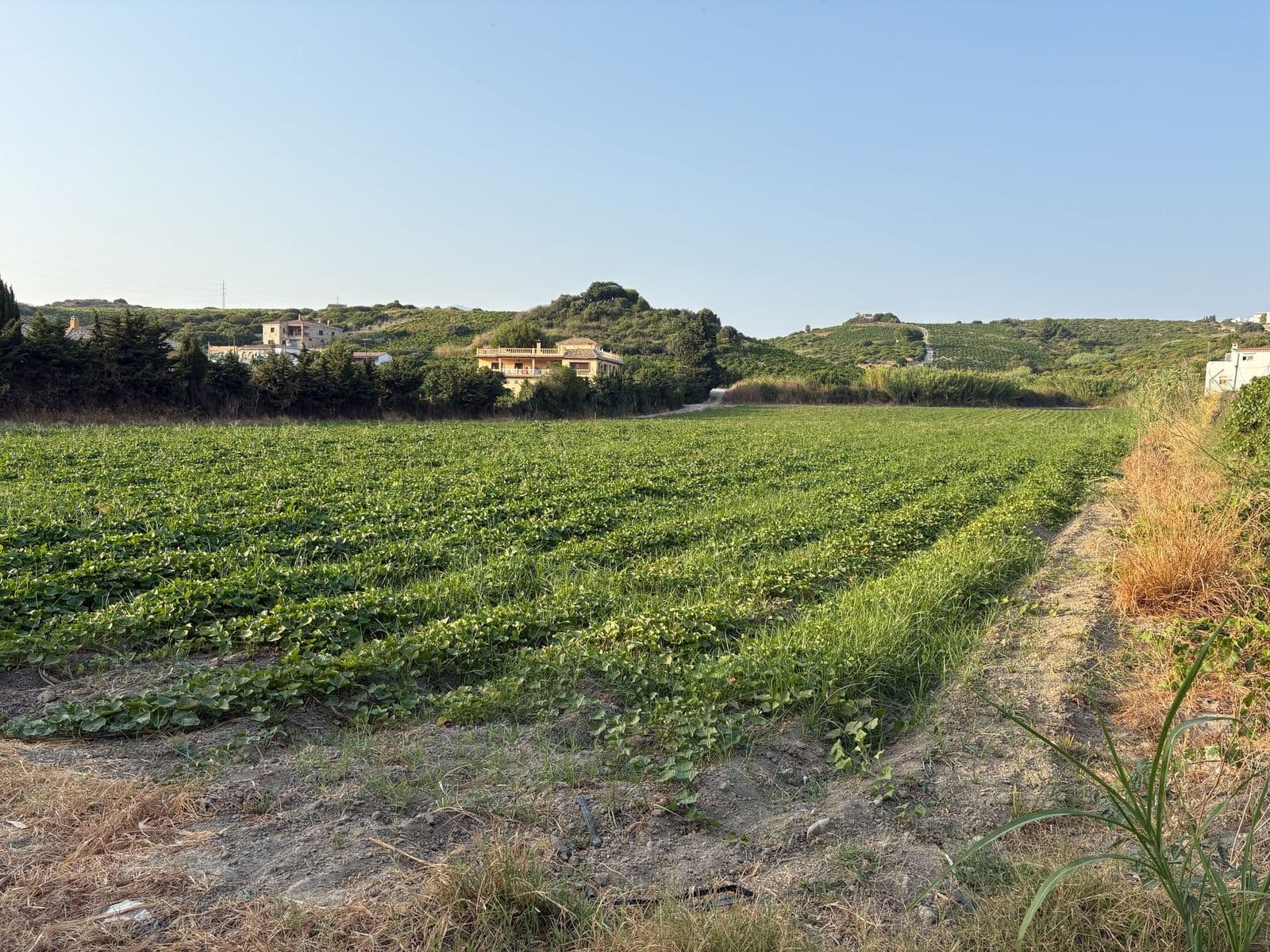 Land in Casares, Casares