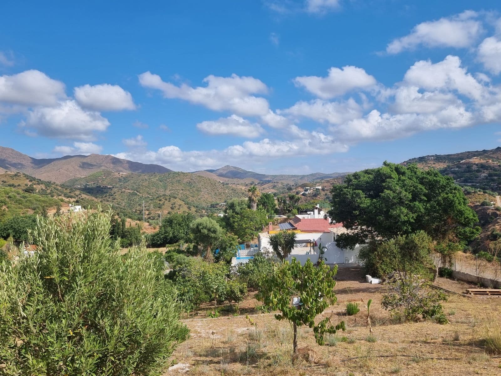 Finca - Cortijo in Entrerrios, Entrerrios