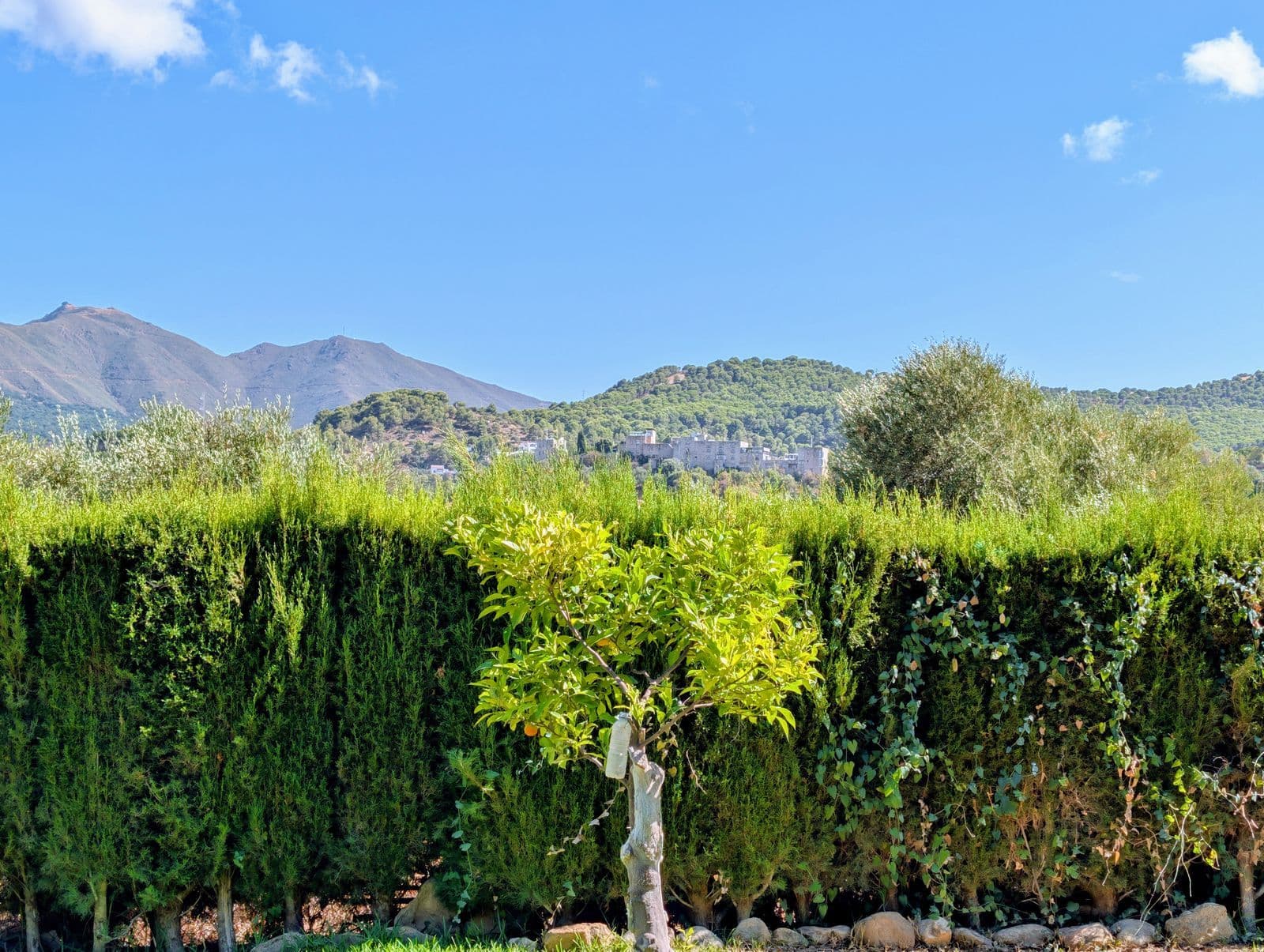 Detached Villa in Monda, Monda
