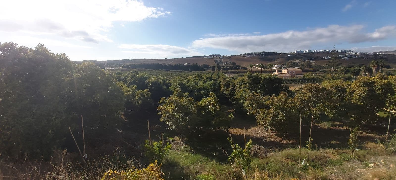 Land in Estepona, Estepona