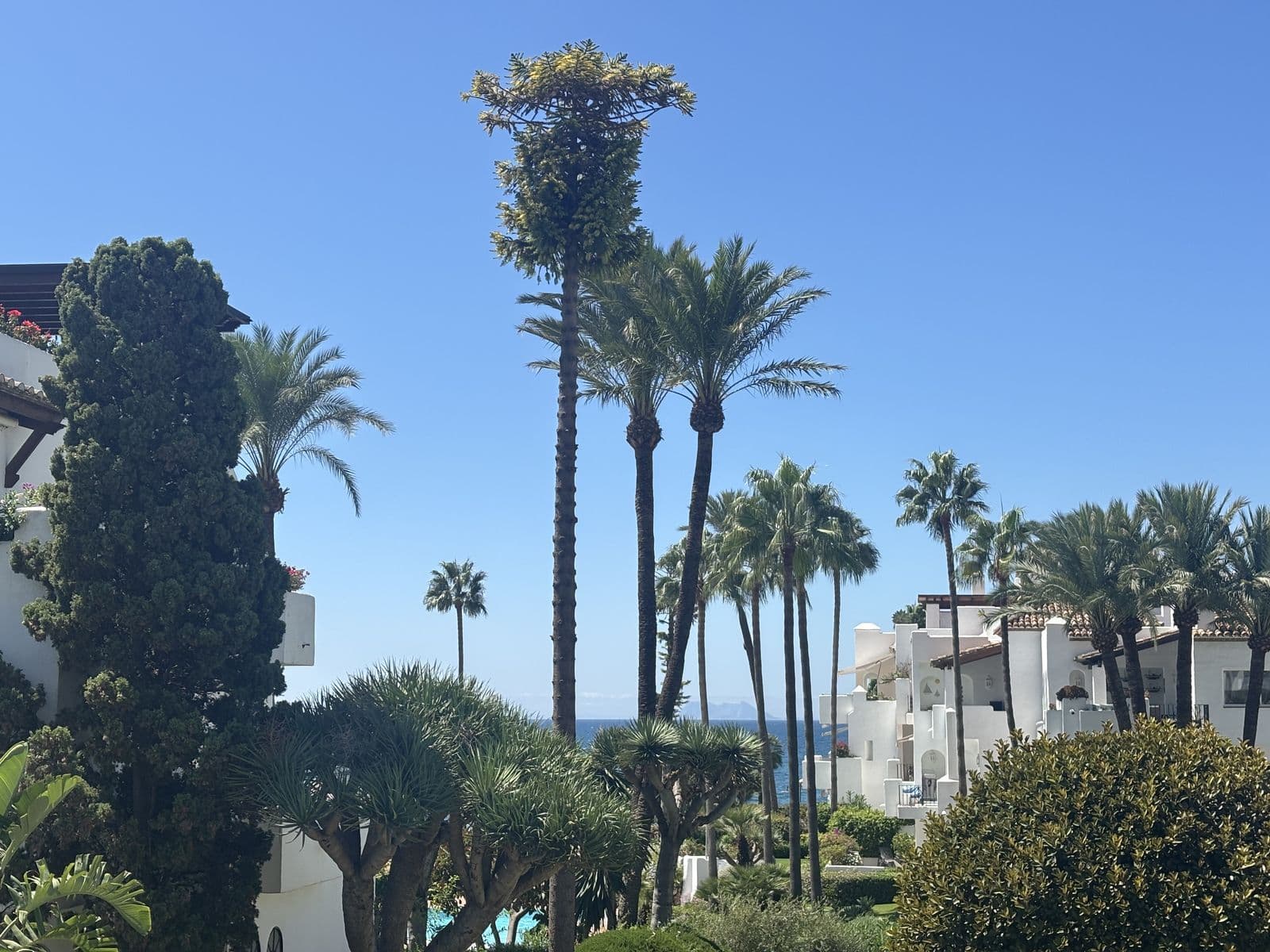 Middle Floor Apartment in Estepona, Estepona
