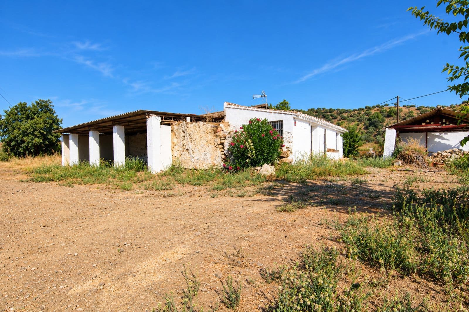 Land with Ruin in Coín, Coín