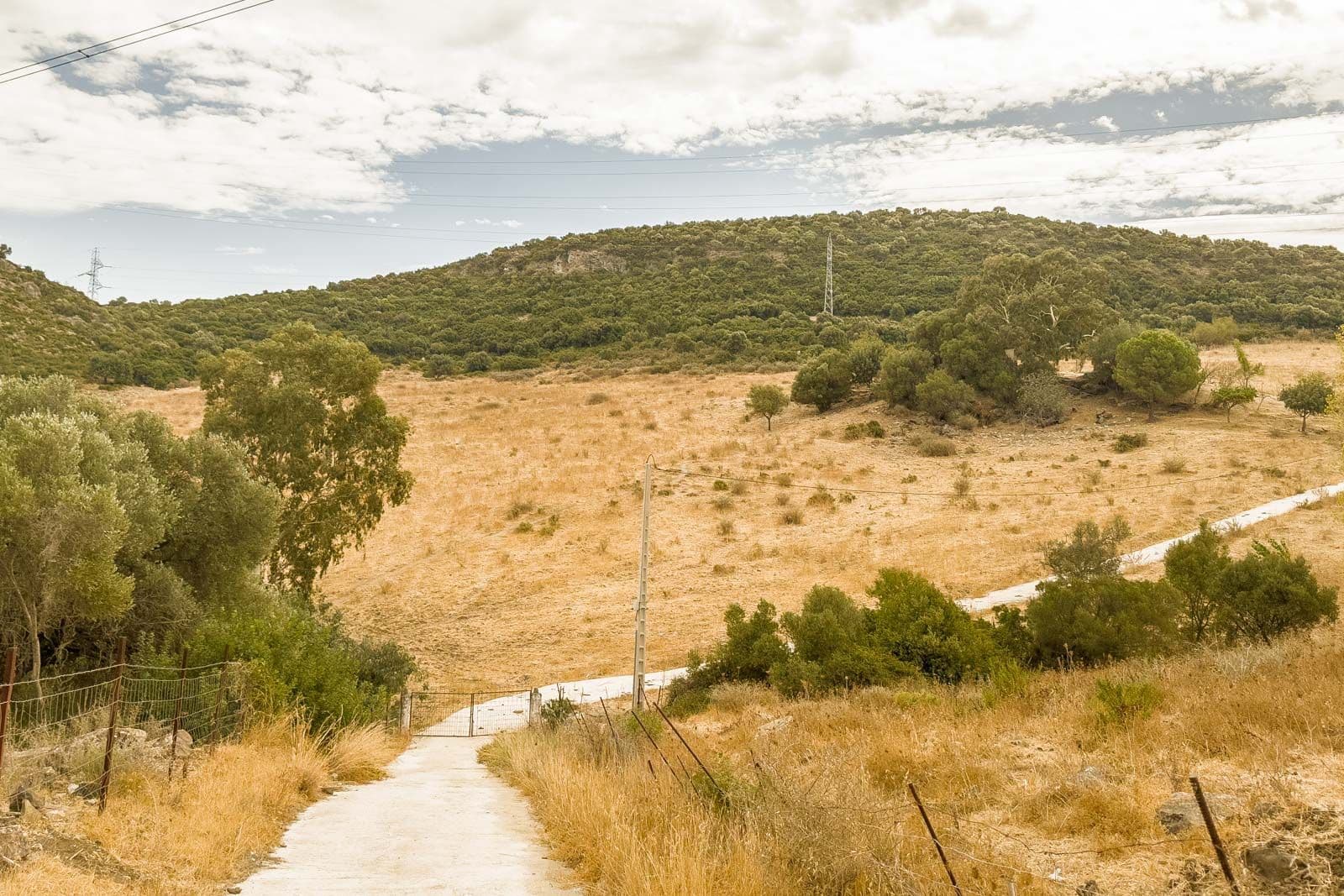 Land with Ruin in Casares, Casares